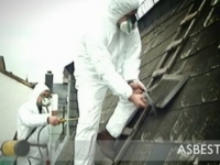 Asbest in top 10 grootste ‘vooruitgangs-flops’